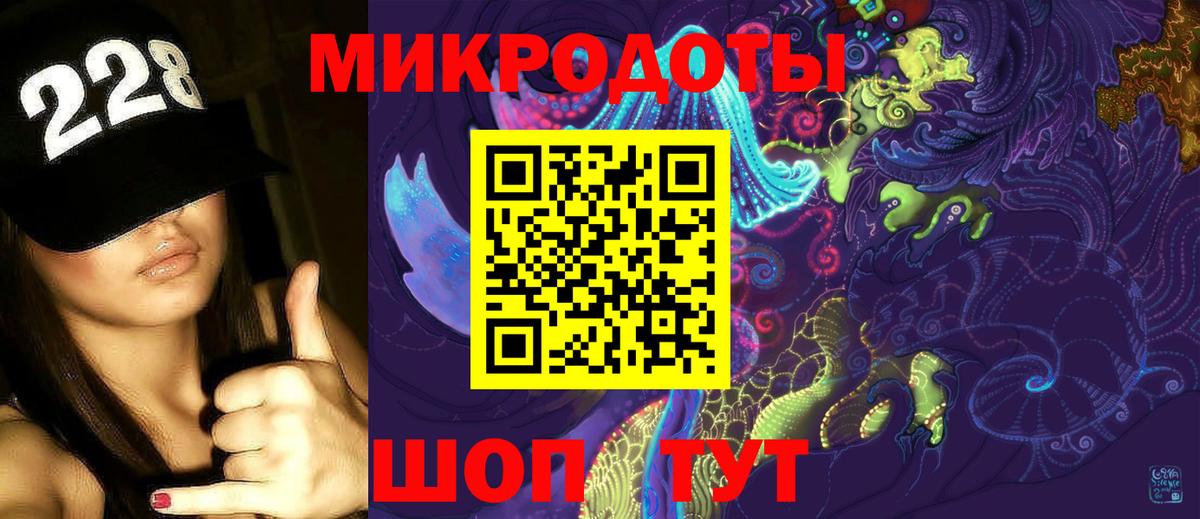 Галлюциногенные грибы Psilocybe Елец